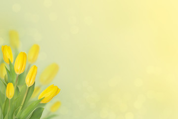 Beautiful spring background with yellow tulips and bokeh.