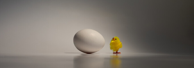 Küken bestaunt ein Ei