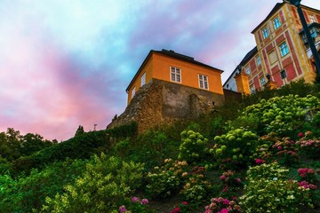 Fototapeta na wymiar Castle Jansky hill with blossoming hillside.