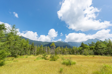 The scenicc national park summer season at Kamikochi, Nagano Japan