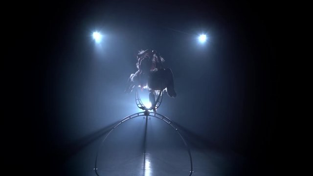 Circus stunts of two girls rotating on a metal hoop. Black smoke background. Silhouette