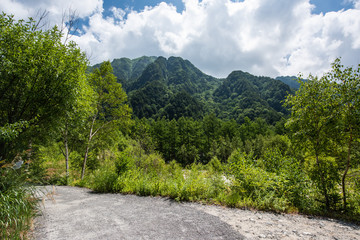 Summer Forest Landscape,Pathway at Kamikochi in Japan