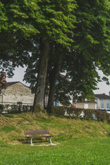 Bench under trees near Saint-Jean-Pied-de-Port, France