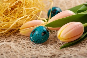 Easter eggs in the nest