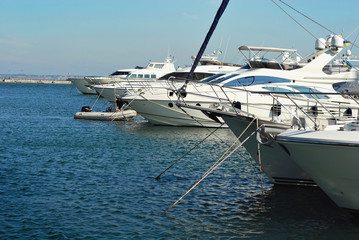 Fototapeta premium Many white yachts on the wharf. Elegant yachts on the background of the blue sky.