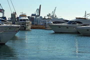 Naklejka premium Wiele białych jachtów na nabrzeżu. Eleganckie jachty na tle błękitnego nieba.