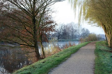hunte am frühen morgen