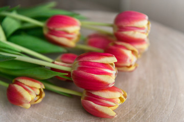 Tulipany na drewnianym tle. 