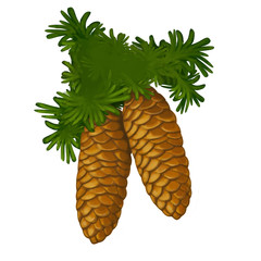 cartoon scene with pine cone on white background - illustration for children