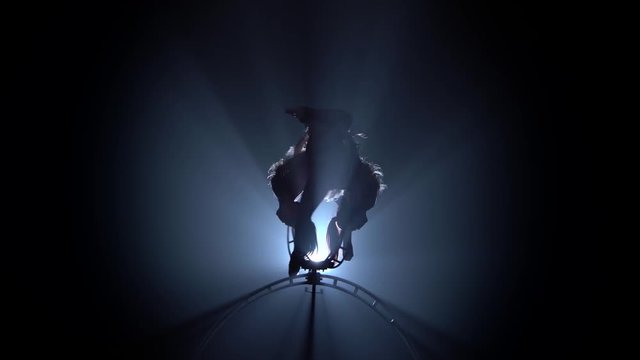 Two girl in makes element in the aerial hoop. Black smoke background. Silhouette