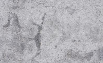 texture wall abstract