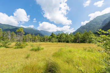 The scenicc national park summer season at Kamikochi, Nagano Japan