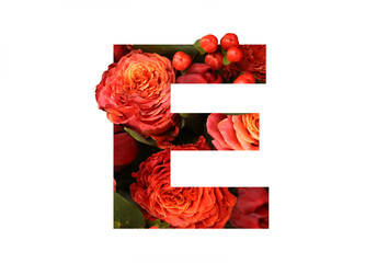 Floral font letter E from a real red-orange roses for bright design. Stylish font of flowers for conceptual ideas.