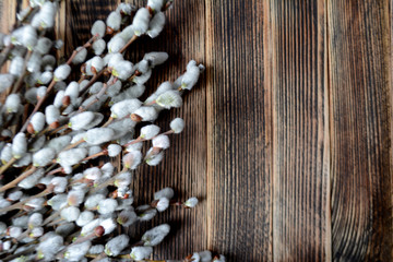 Willow branches on the wooden table Easter concept