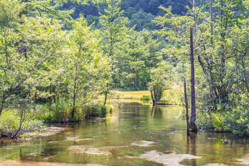 The scenicc national park summer season at Kamikochi, Nagano Japan