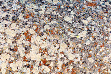 abstract stain on stone