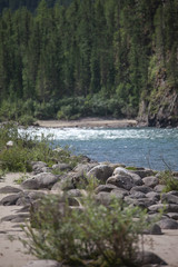 Nature, travel, recreation, river, mountains, wild animals, Russia