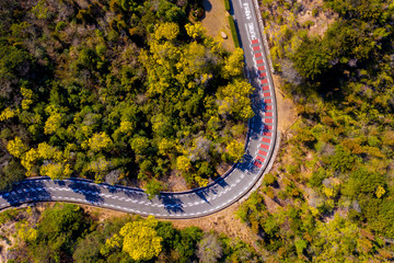 早春の晴れた日にミモザの花に囲まれたワインディングロードを100ｍの高度から空撮した風景が美しい。
