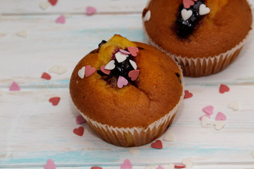 Two blueberries muffins or cupcakes on white texture