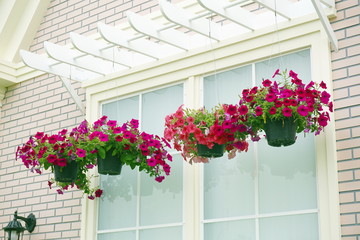 hanging basket of flowers in front of the house