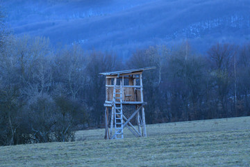wooden hidden cottage for hunting in the forest meadow