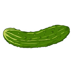 Vector Cartoon Green Cucumber