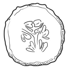 Vector Sketch Round Slice of Cucumber