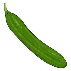 Vector Cartoon Green Cucumber