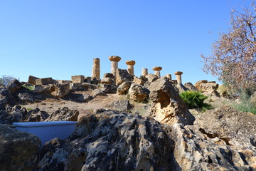 アグリジェント