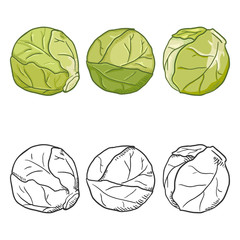 Vector Set of Cartoon and Sketch Brussels Sprouts