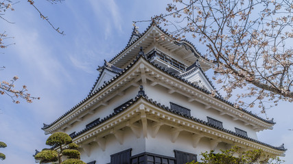 春の館山城の天守の風景