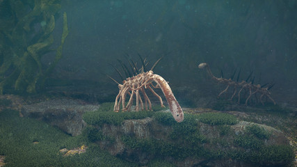 Hallucigenia, group of prehistoric aquatic animals from the Cambrian Period (3d paleoart illustration)