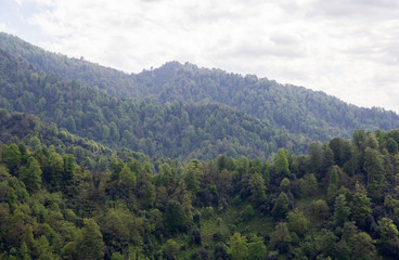panoramic view of the mountains
