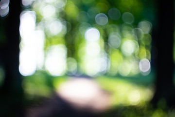 abstract green background with bokeh lights