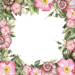 Roses and shells. Watercolor flower seamless wreath.