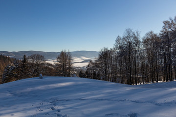 Winter panorama landscape with forest, trees covered snow and sunrise. winterly morning of a new day. winter landscape with sunset, panoramic view