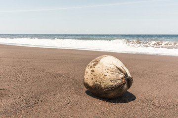 Vulkan, Indonesien, Strand, Kokosnuss
