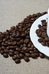 cup of coffee with beans on white background