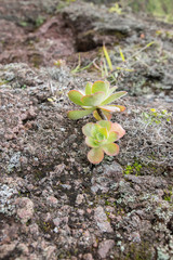 Ribeira Grande, Santo Antao, Cabo Verde