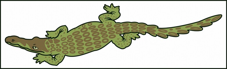 CROCODILE  PREDATORY ANIMAL