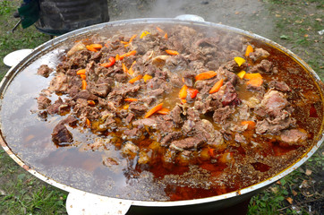 A cauldron full of fried meat