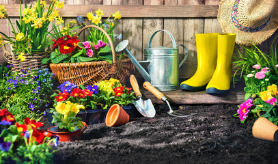 Planting flowers in sunny garden.