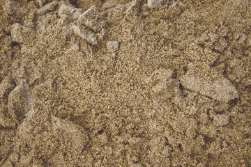 Wet sand texture. Sea and ocean theme. Natural background. Image with place for text.