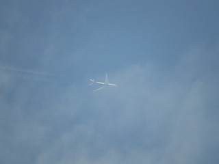plane in the sky