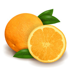 Fresh orange and slice isolated on white background, realistic 3D design. Vector