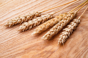 ripe wheat ears on wooden background