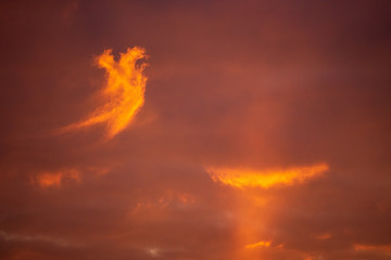 Fototapeta na wymiar cloud dragon