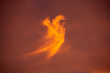 cloud dragon