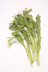 Obraz premium パック・クワントゥン