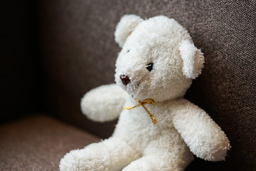 white teddy bear doll toy sit on a sofa couch